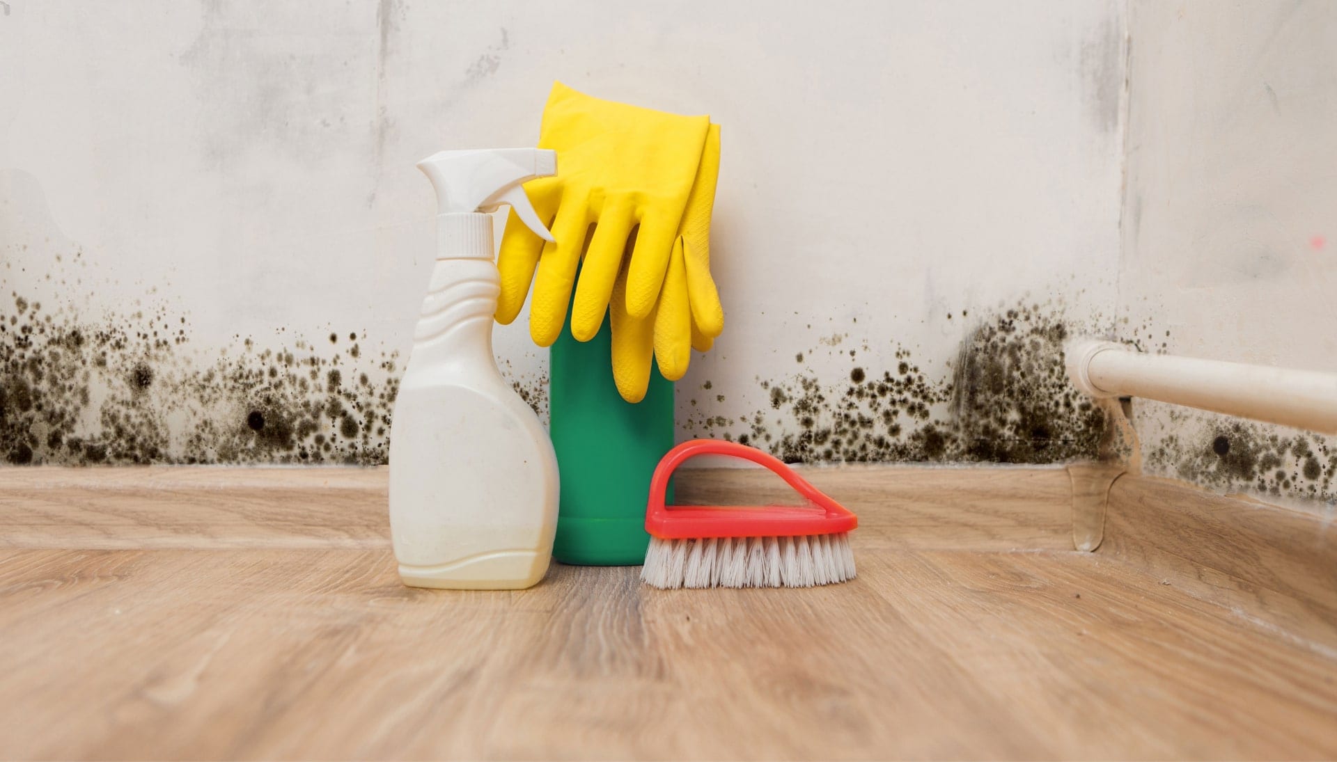 Know About Mold Removal In Hilliard