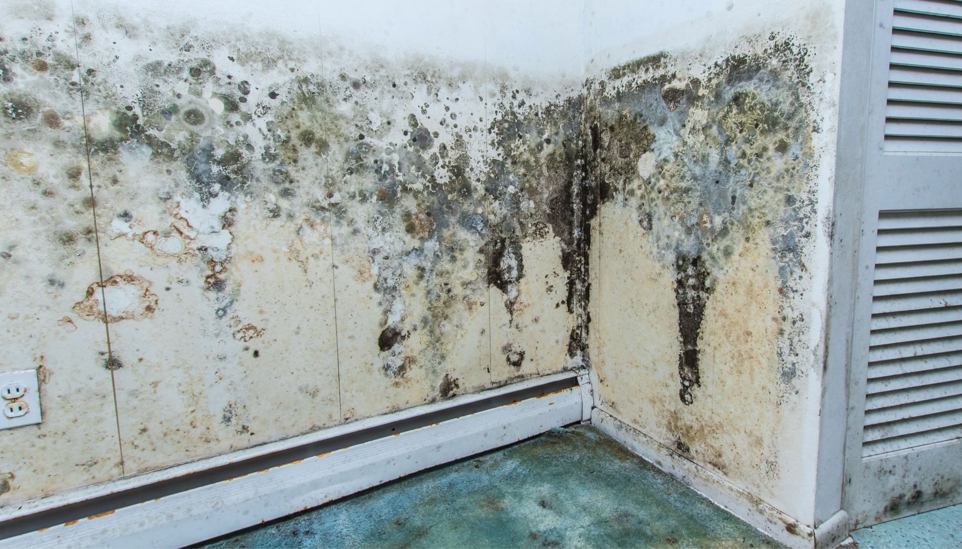 Mold Damage Odor Control Services in Hilliard