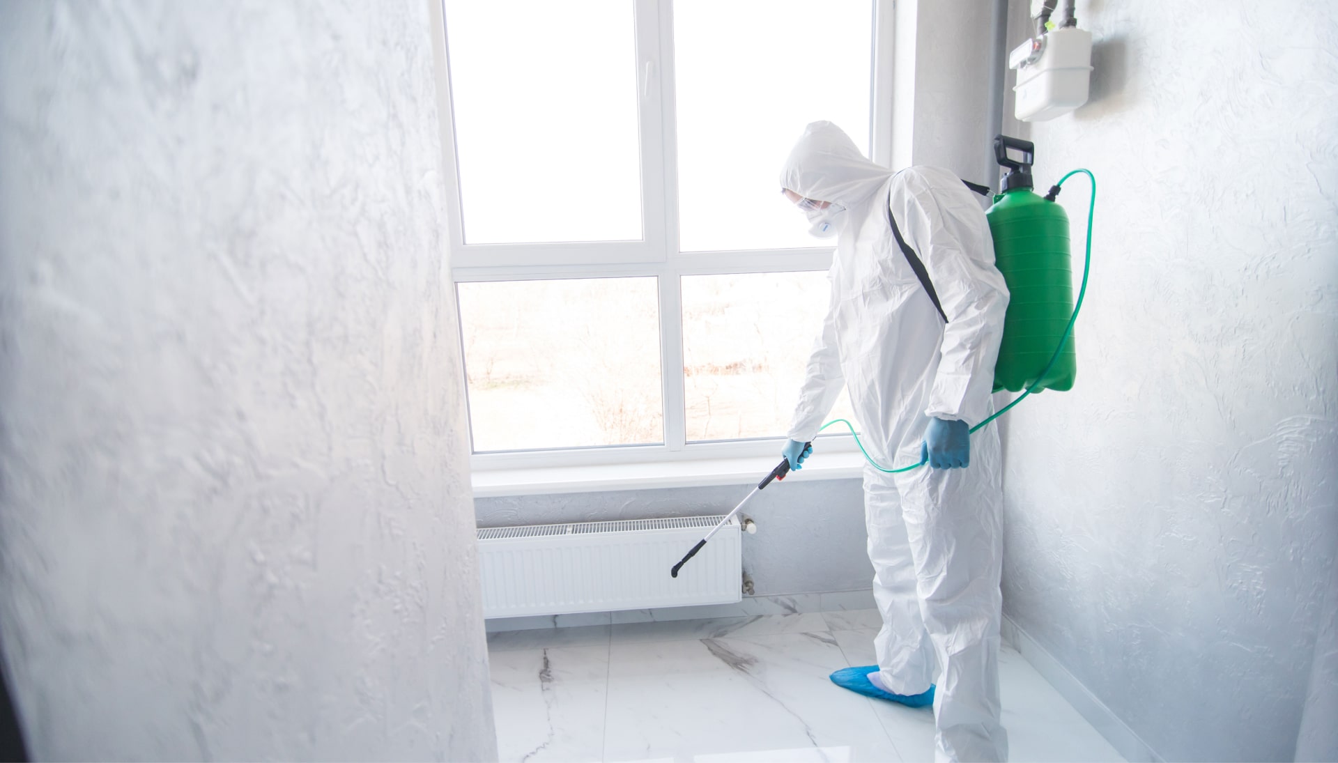 Mold Inspection Services in Hilliard
